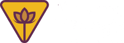 Mulheres Elétricas
